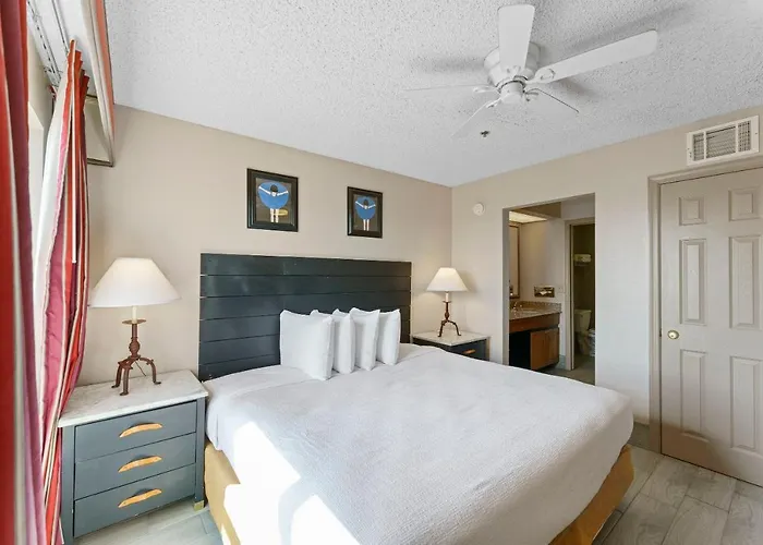 Metro 1 Bd 1 Ba Premium