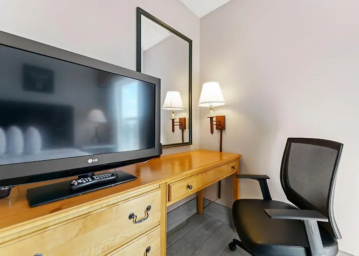 Metro 1 Bd 1 Ba Premium