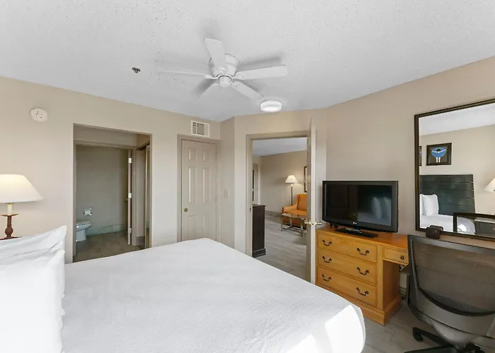 Apartment Metro 1 Bd 1 Ba Premium