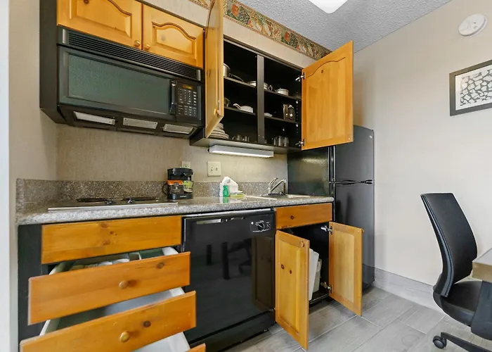 Metro 1 Bd 1 Ba Premium *