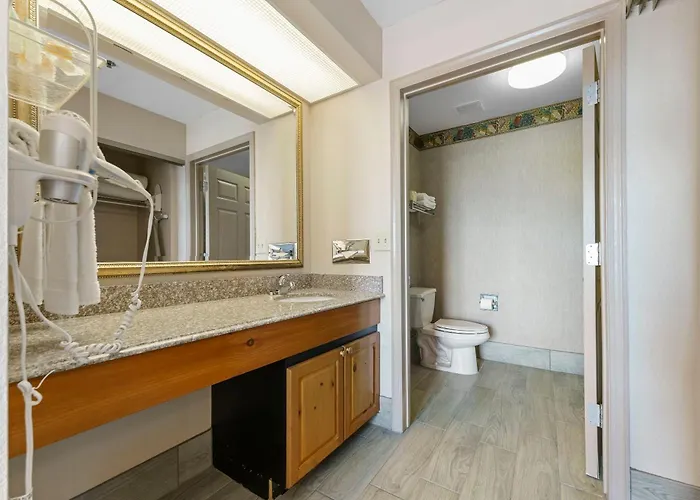 Metro 1 Bd 1 Ba Premium Scottsdale