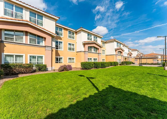 Apartment Metro 1 Bd 1 Ba Premium